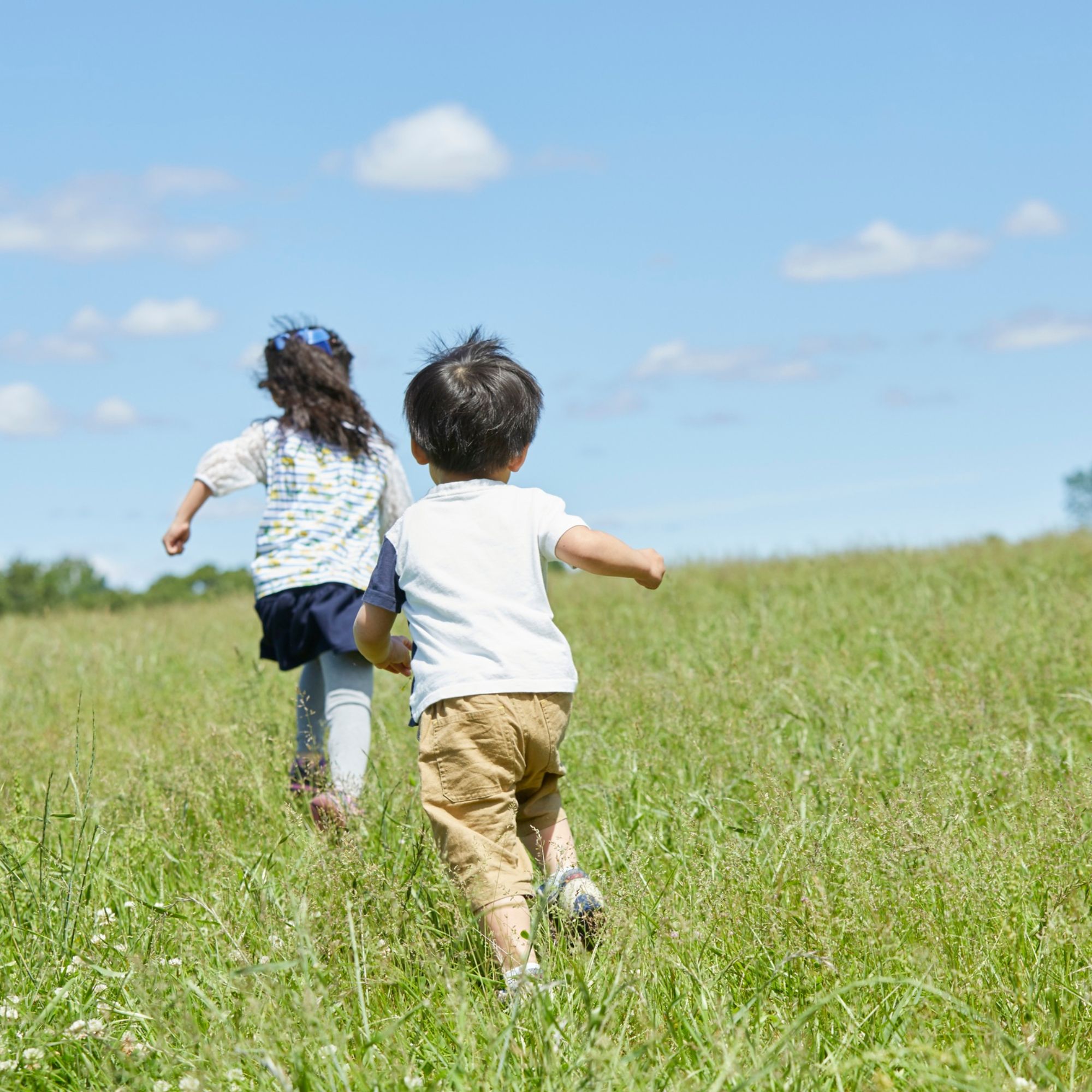 obrazky na web 2 - SKAV